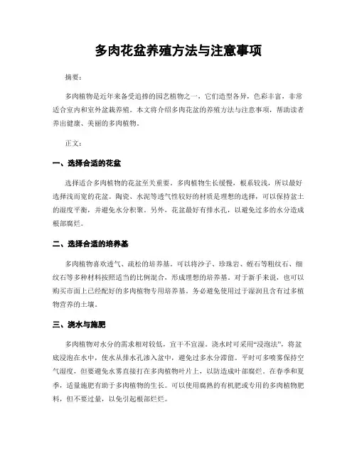 多肉花盆养殖方法与注意事项