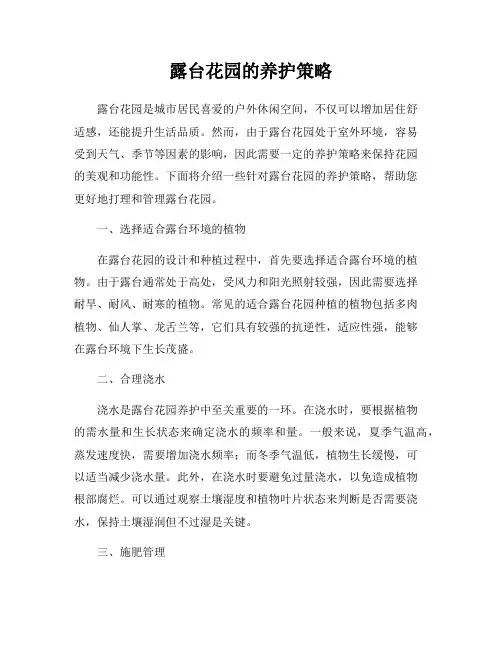 露台花园的养护策略