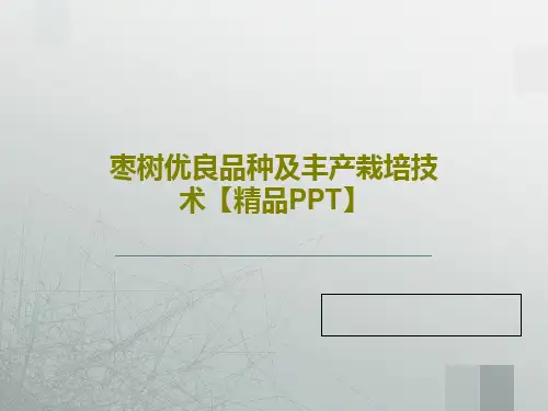 枣树优良品种及丰产栽培技术【精品PPT】共74页文档