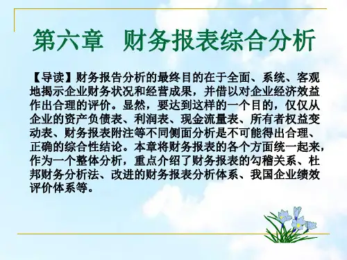 第六章财务报表综合分析