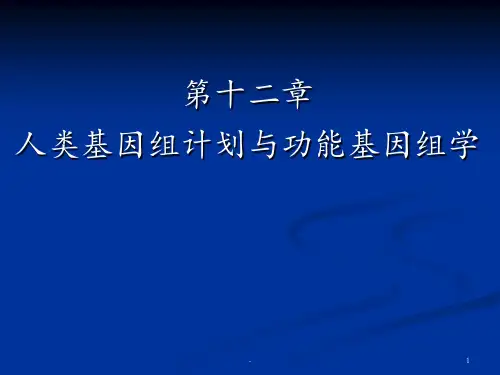 医学生物学人类基因组计划与功能基因组学PPT课件