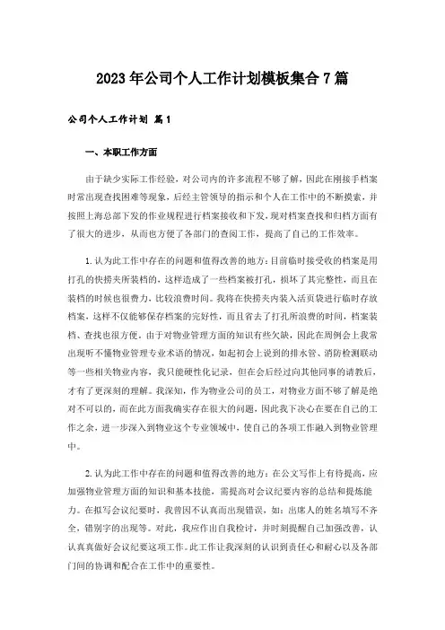2023年公司个人工作计划模板集合7篇