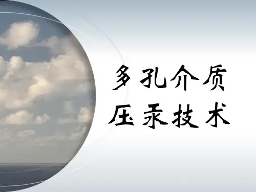 多孔介质的压汞技术(上传)