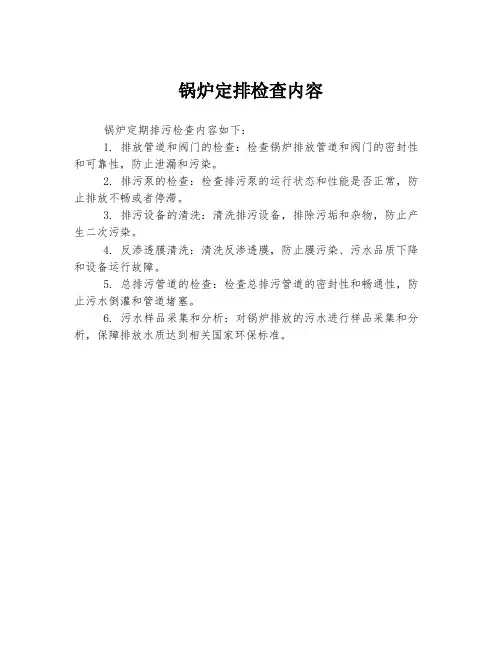 锅炉定排检查内容