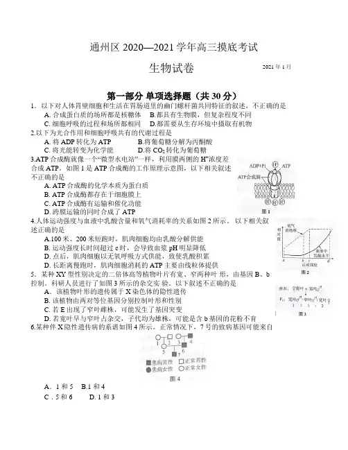 北京通州区2020—2021学年第二学期高三年级一模考试生物试题及答案