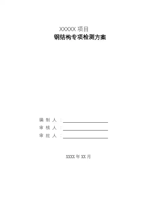 钢结构检测专项方案
