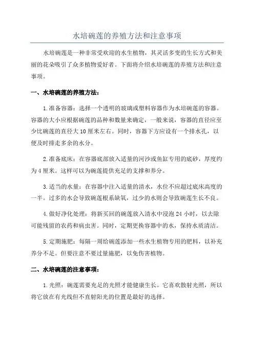 水培碗莲的养殖方法和注意事项