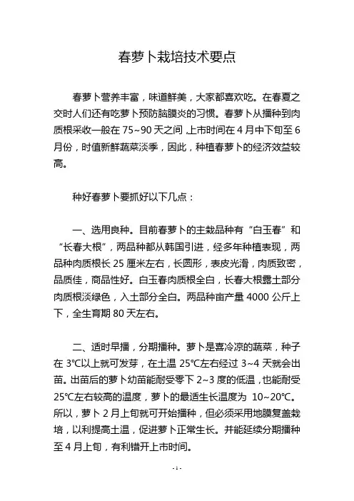 春萝卜栽培技术要点