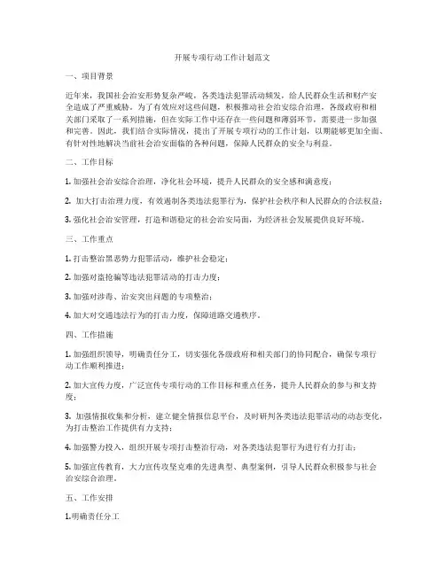 开展专项行动工作计划范文