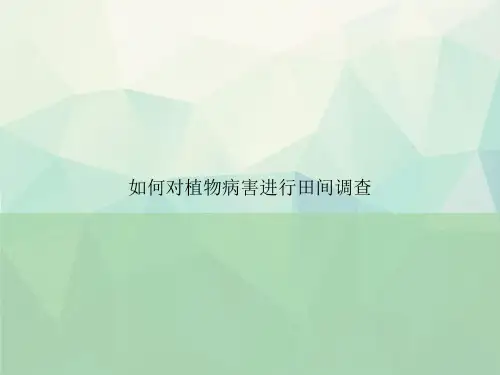 如何对植物病害进行田间调查讲课文档