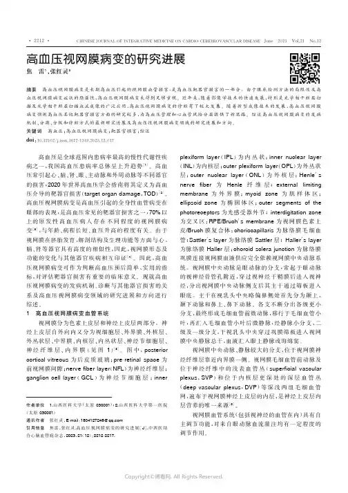 高血压视网膜病变的研究进展
