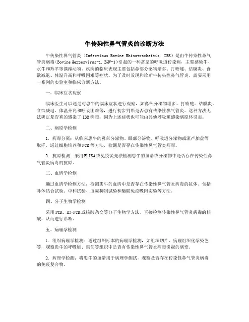 牛传染性鼻气管炎的诊断方法