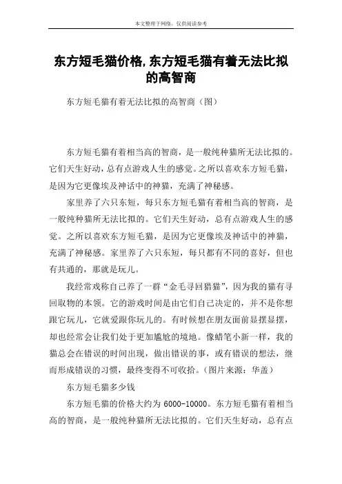 东方短毛猫价格,东方短毛猫有着无法比拟的高智商