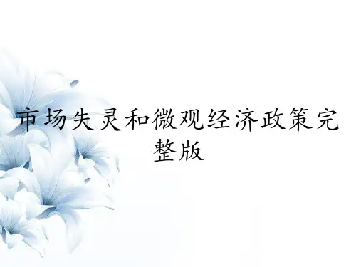 市场失灵和微观经济政策完整版