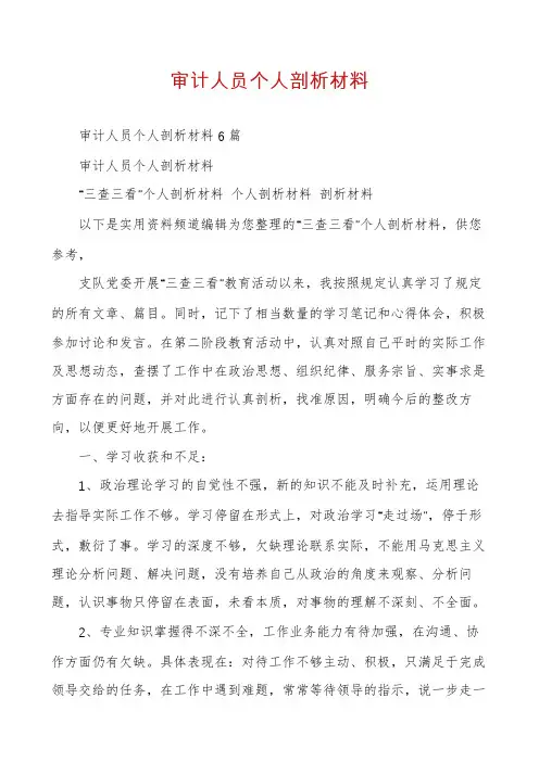 审计人员个人剖析材料