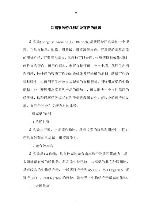 甜高梁的特点利用及存在的问
