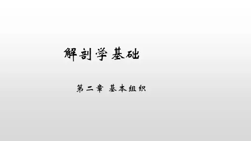 解剖学基础(北京出版社)《上皮组织》课件