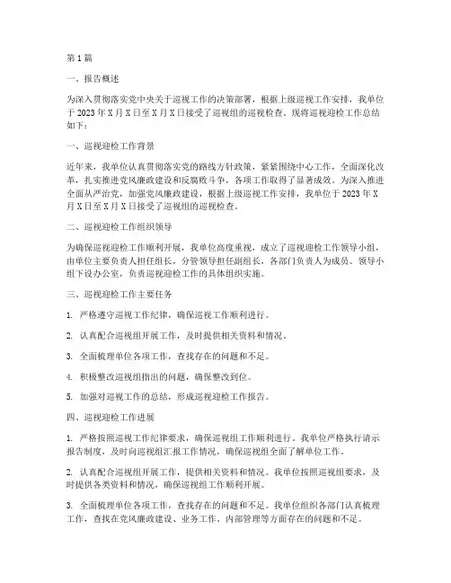 巡视迎检总结报告范文(3篇)