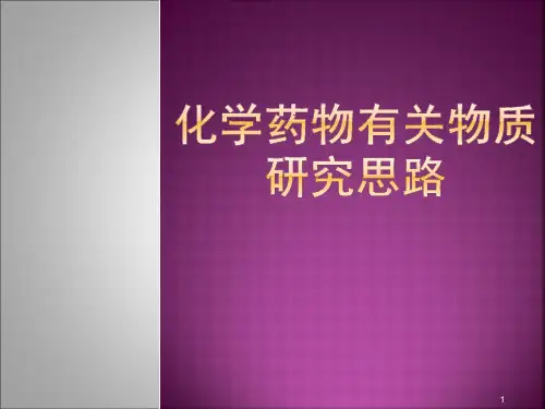 有关物质研究思路精品PPT课件