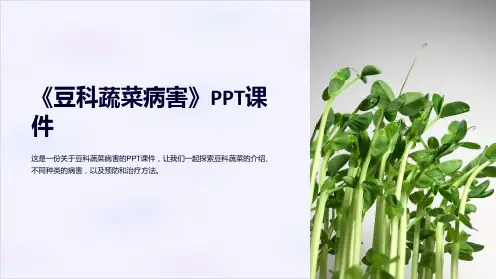 《豆科蔬菜病害》课件
