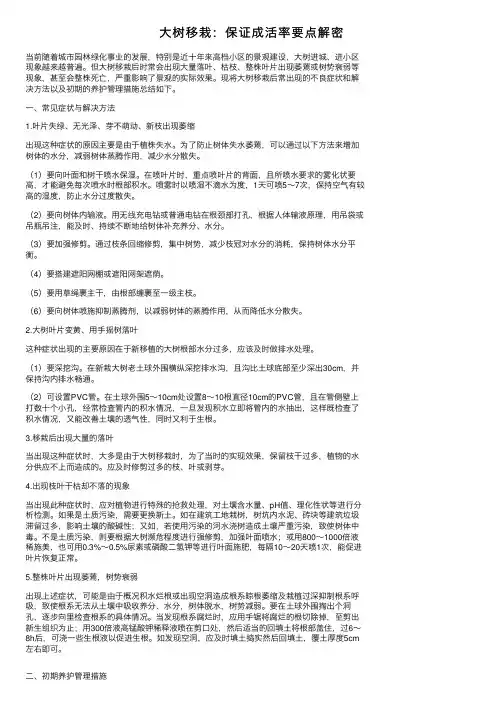 大树移栽：保证成活率要点解密