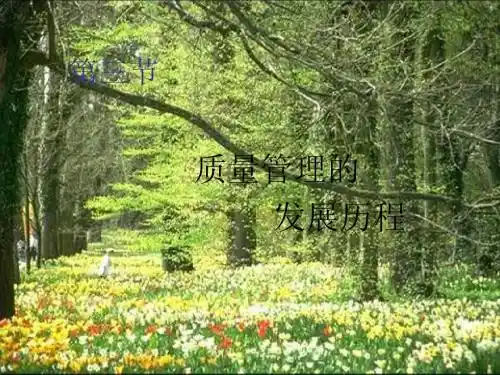 第三节(3)质量管理的发展