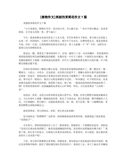 [植物作文]美丽的茉莉花作文7篇