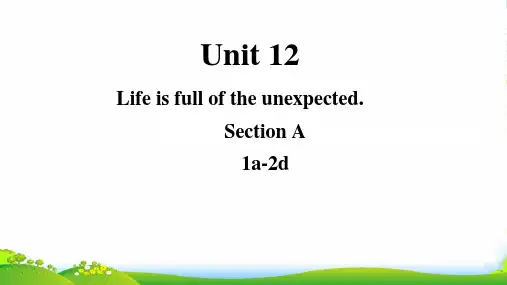 人教版初中英语九年级 Unit 12 Life is full of the unexpected 