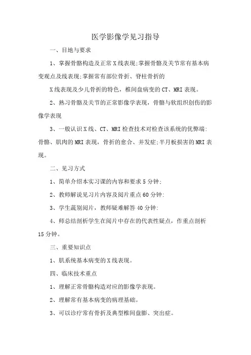 医学影像学见习指导