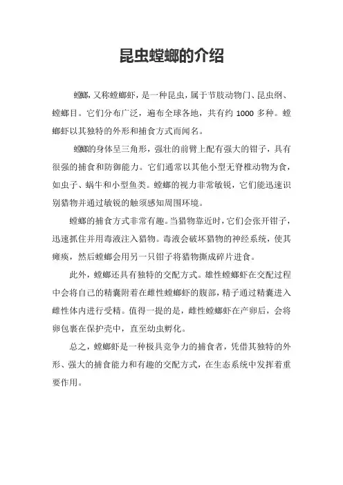 昆虫螳螂的介绍