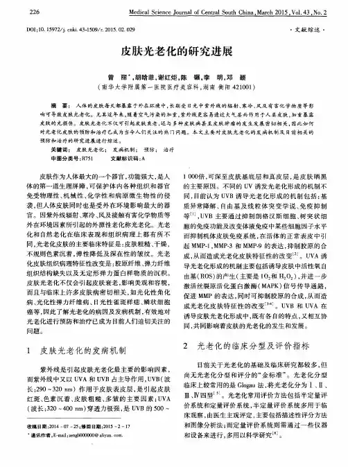 皮肤光老化的研究进展