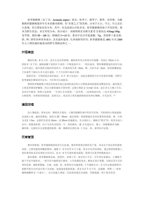 软枣猕猴桃