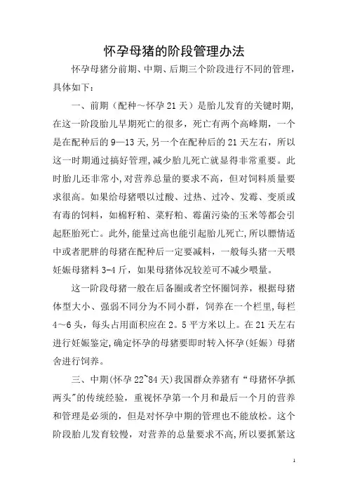 怀孕母猪的阶段管理办法