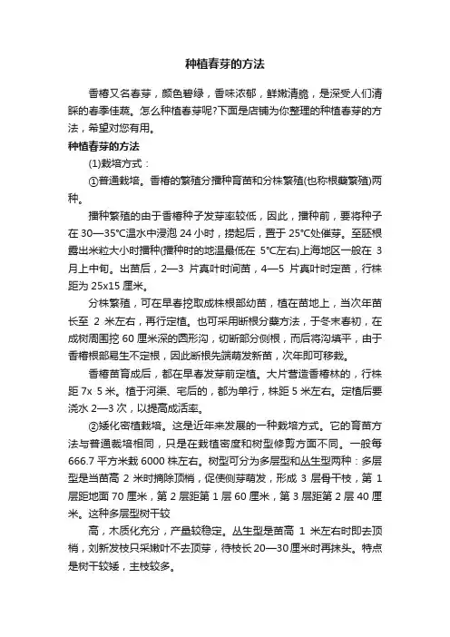 种植春芽的方法