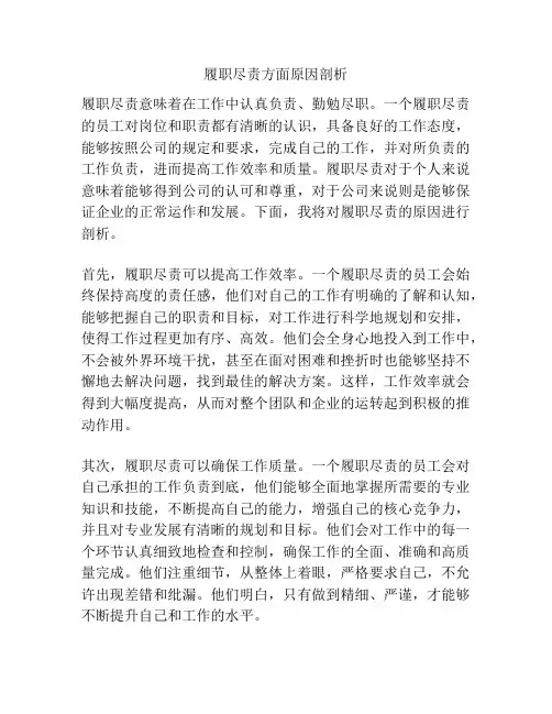 履职尽责方面原因剖析