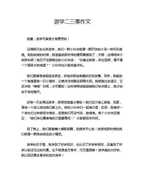 游学二三事作文