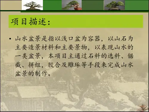 项目六山水盆景的制作