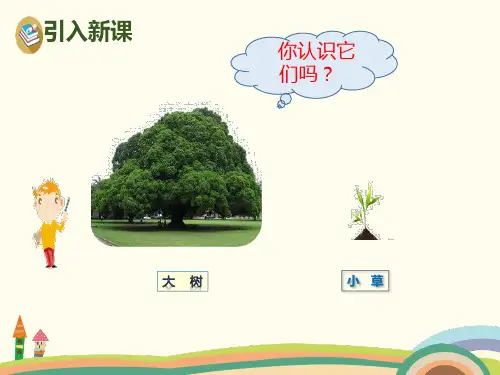 识字大小多少PPT优秀课件