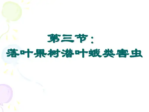 潜叶蛾类害虫