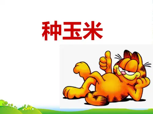 人教版二年级音乐上册：《种玉米》课件02