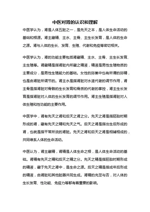 中医对肾的认识和理解