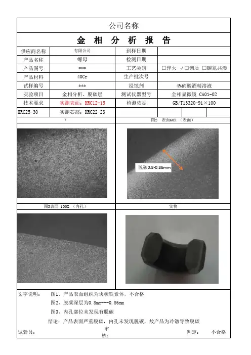 螺母金相报告模板范本