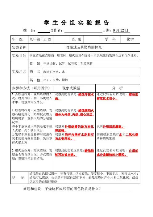 化学学生分组实验报告单 人教版