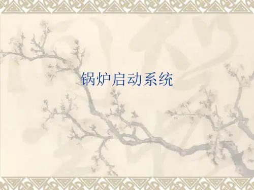 电厂锅炉启动系统