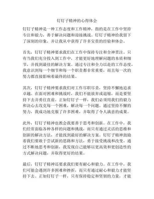 钉钉子精神的心得体会