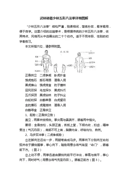 武林秘籍少林五形八法拳详细图解
