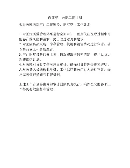内部审计医院工作计划