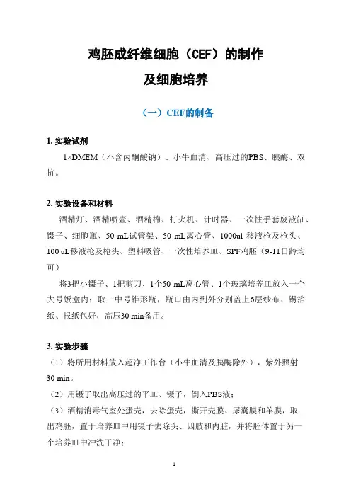 鸡胚成纤维细胞(CEF)的制作及细胞培养