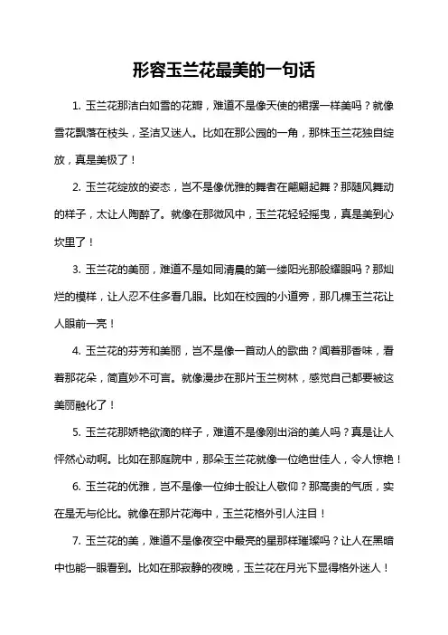 形容玉兰花最美的一句话