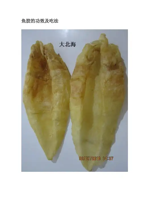 鱼胶的功效及吃法